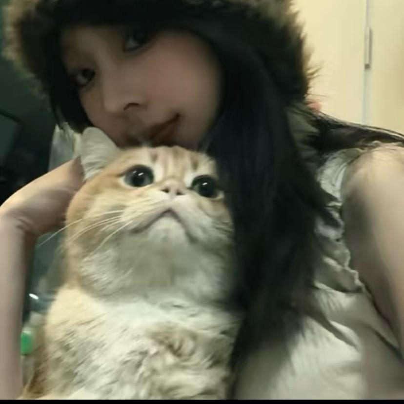 糕冷小呆猫.🧸