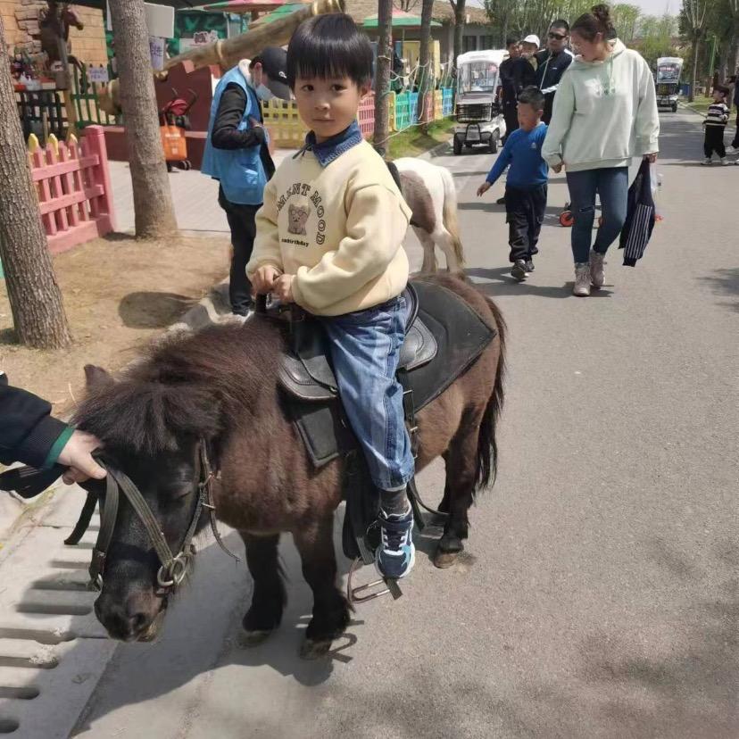 永远🐎🐎
