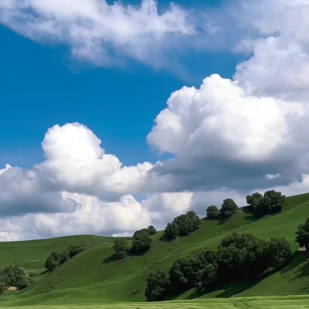 灰色💔回忆🍺