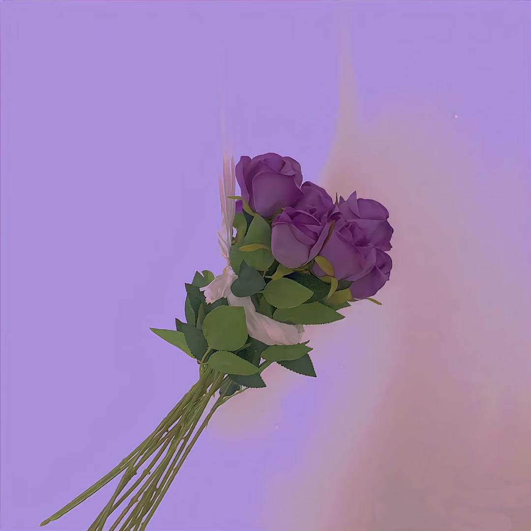 👸锦鲤小富婆🌻