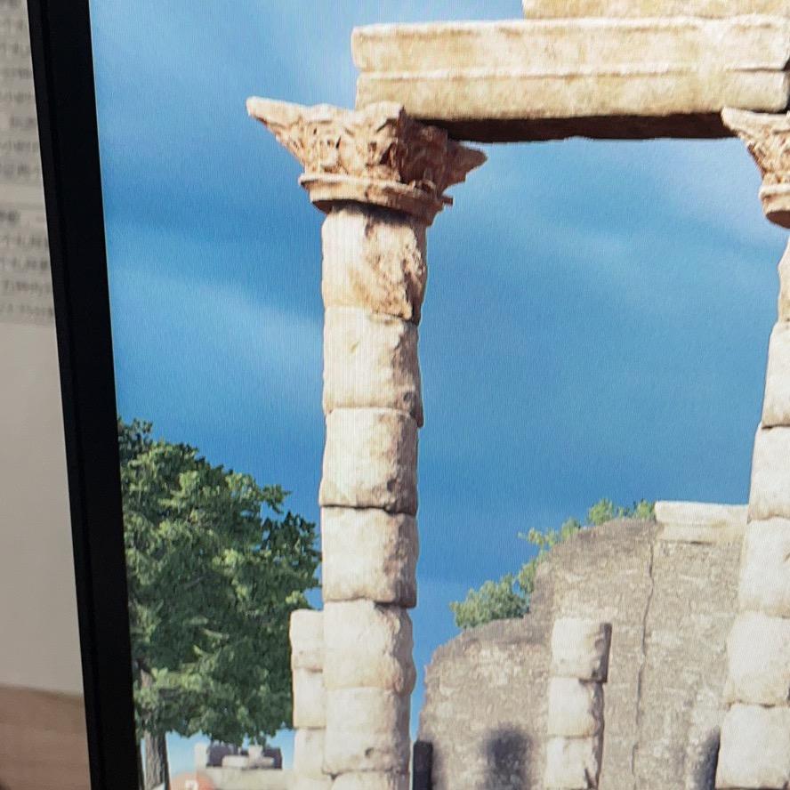 远见的鹰啄小鸡