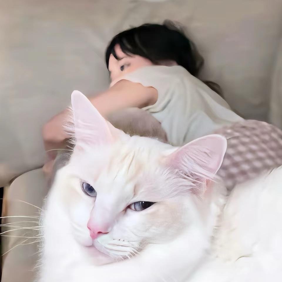 睡迷糊了.
