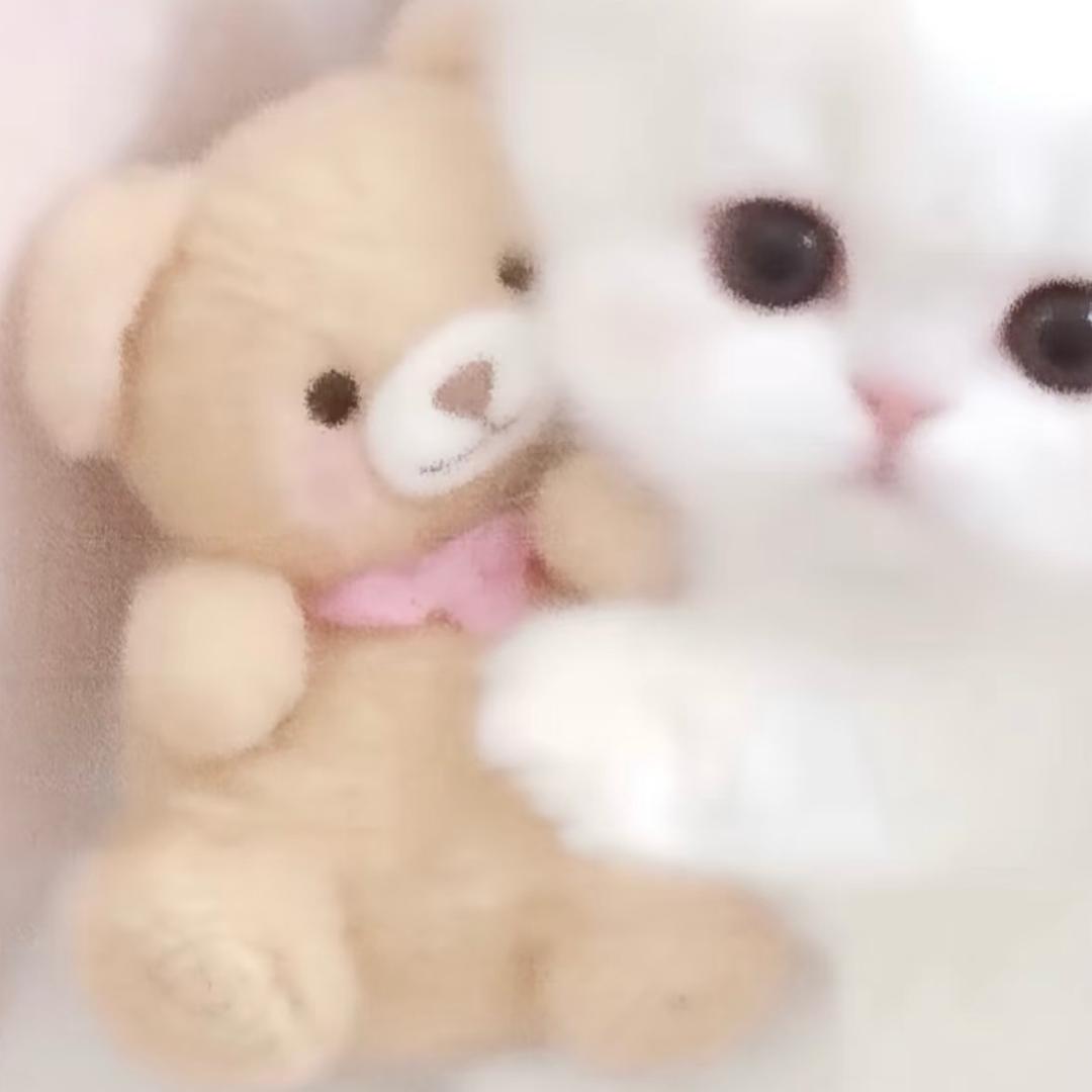 爱桐桐