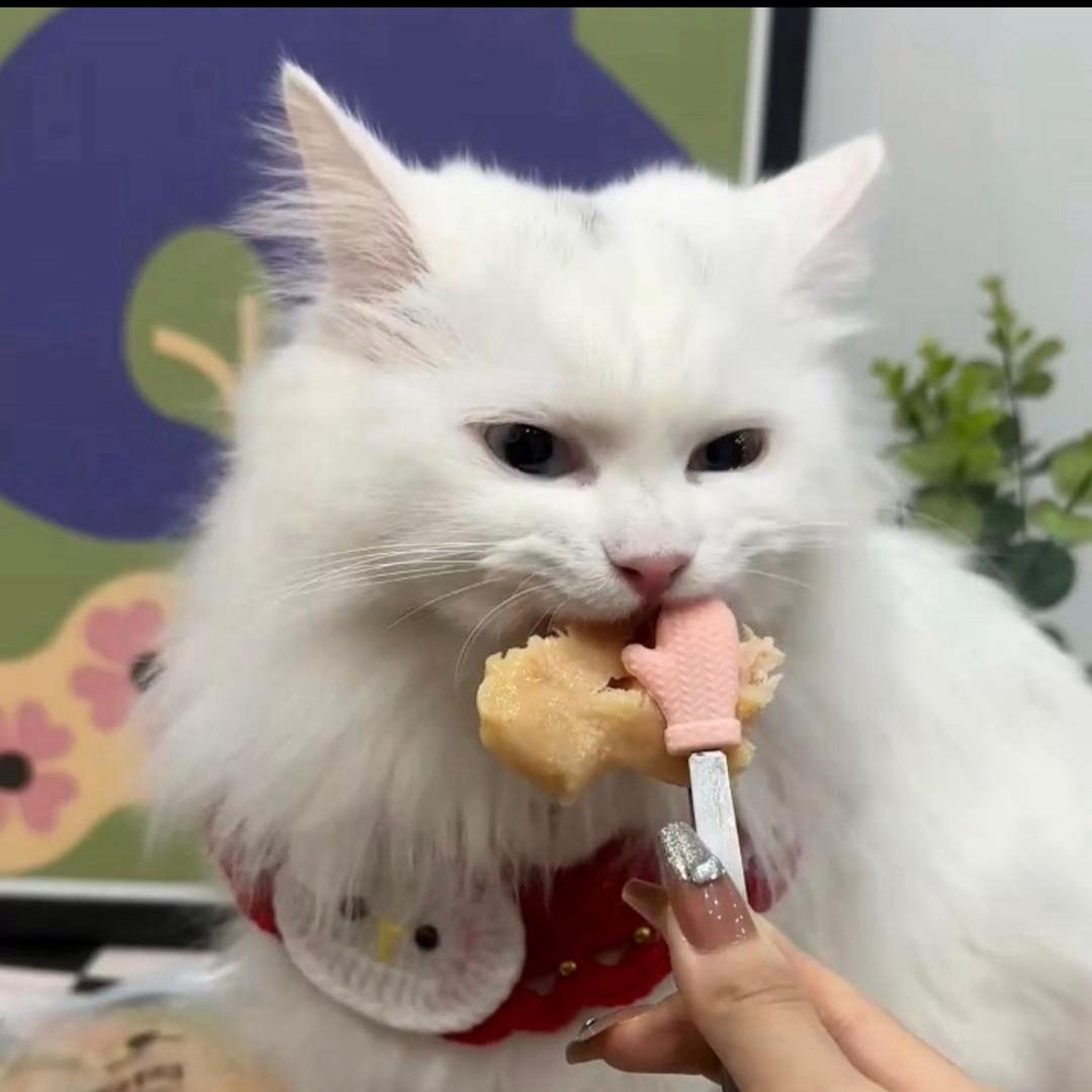 云朵云朵小云朵