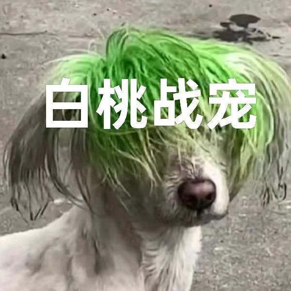 𝓢.晓楠