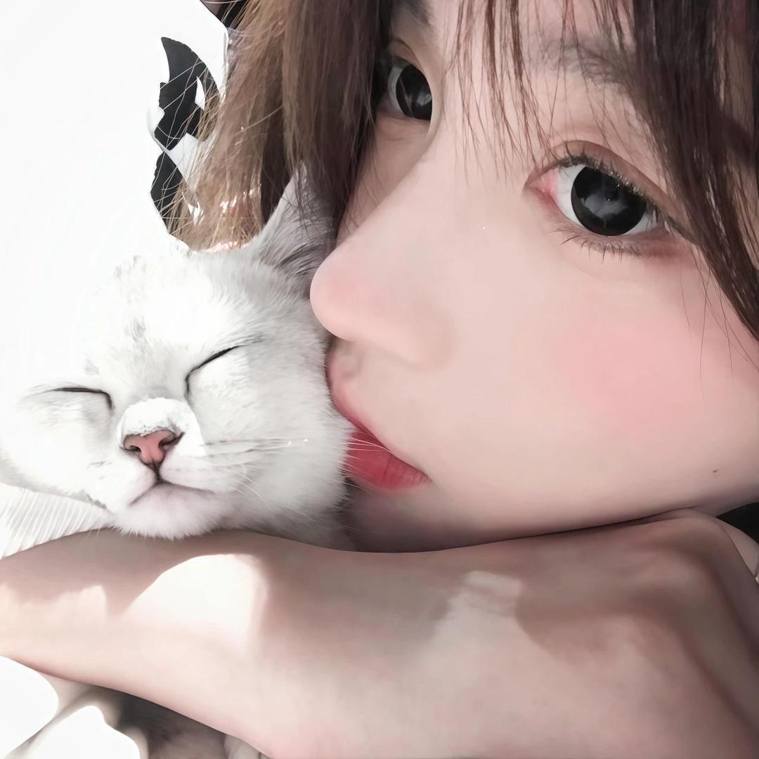 小毛球