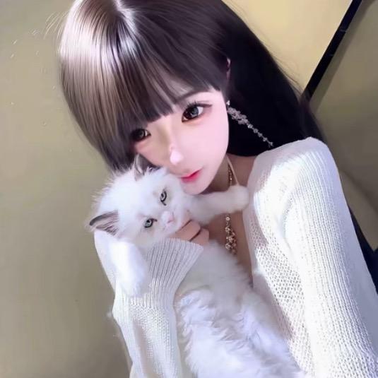 貓°