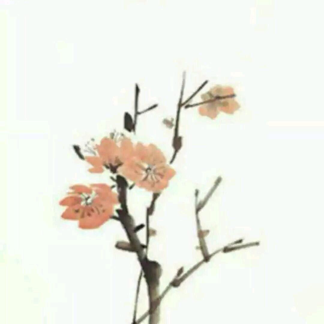 啊啾