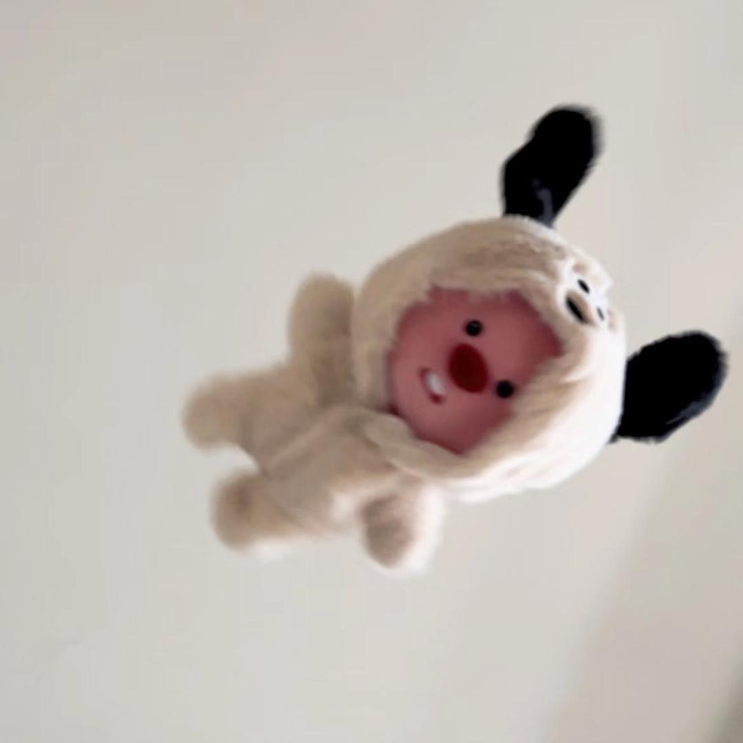 欣欣欣xin