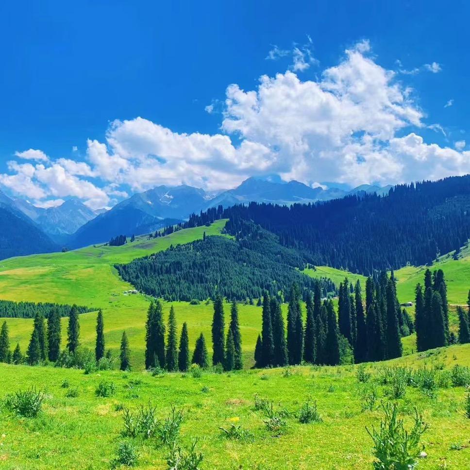 新疆雷哥  旅游定制  租车  人车服务