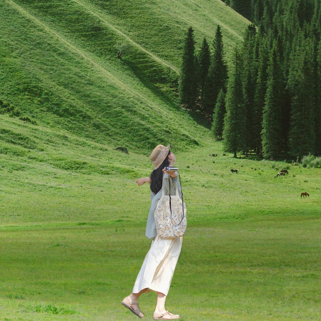 逸疆游旅行社有限公司