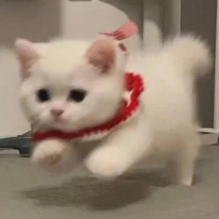 你什么时候给我发消息