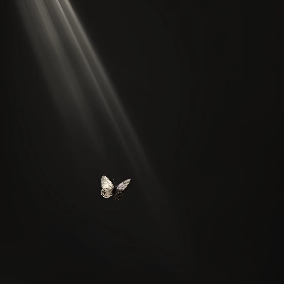 追高小记