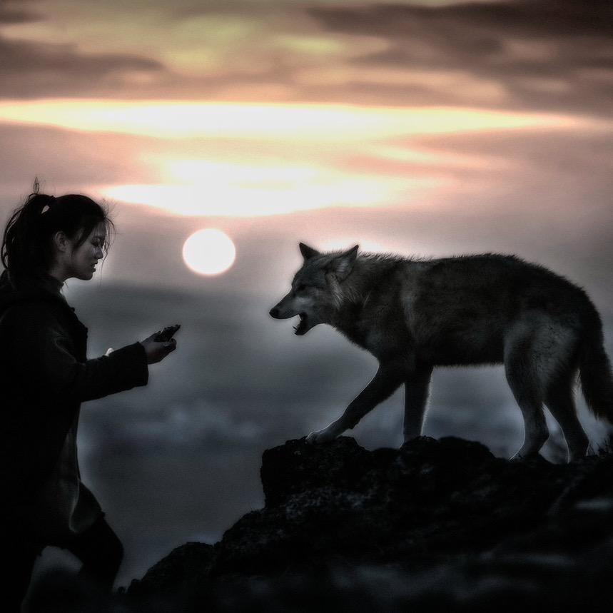 文静家的毛孩子们🐺