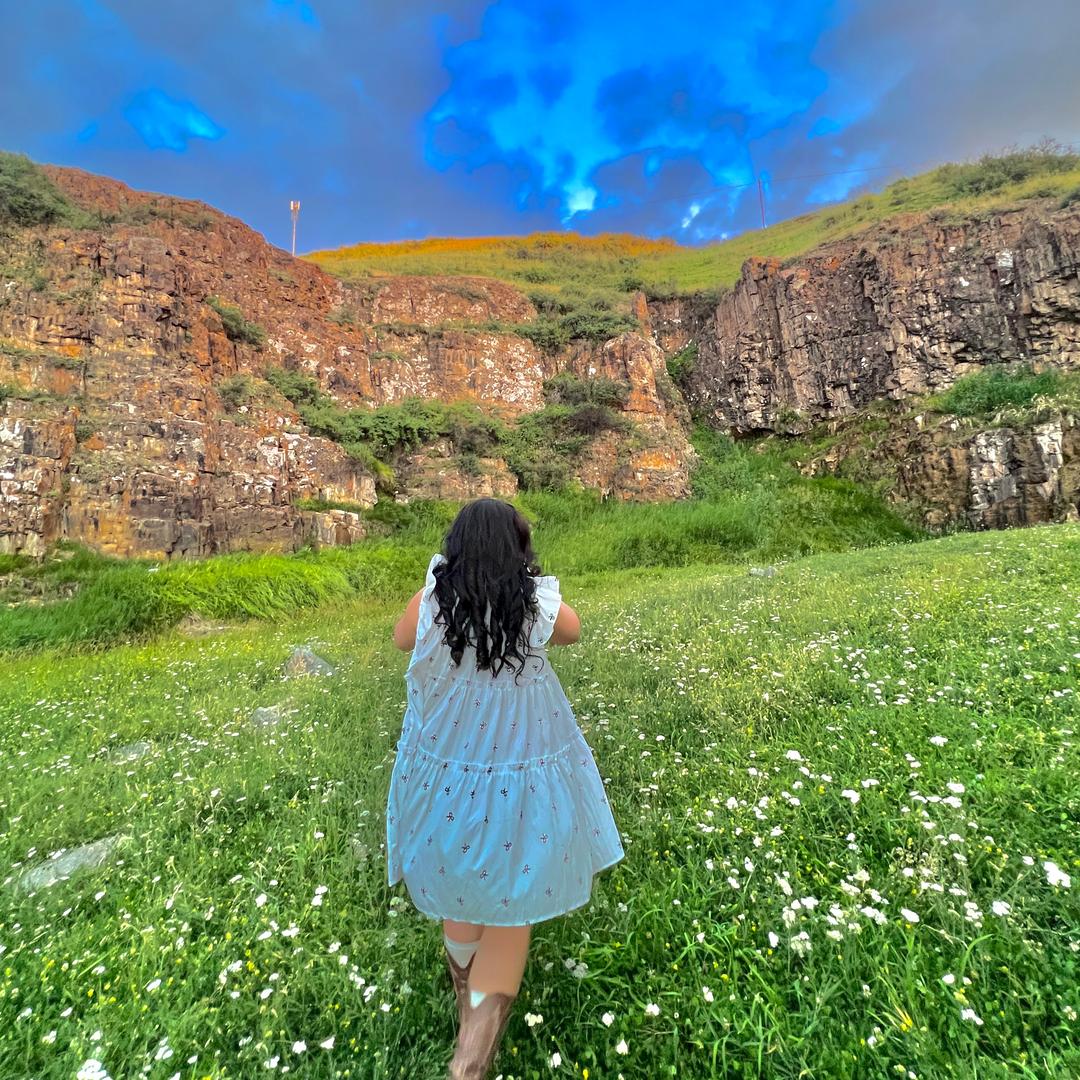 𝓓𝓲𝓵𝓷𝓾𝓻