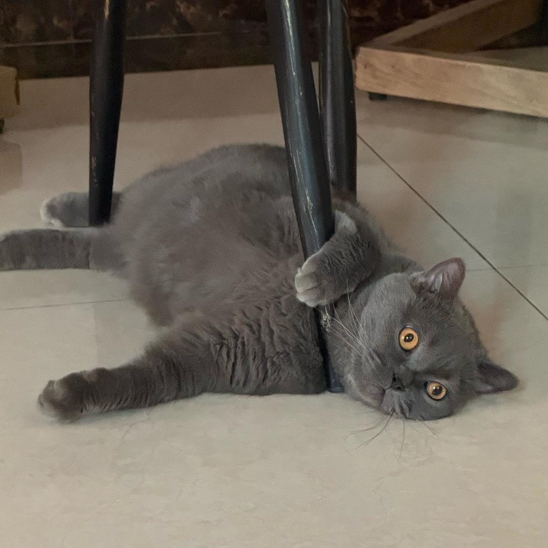 路上溜达溜达🚶‍♀️