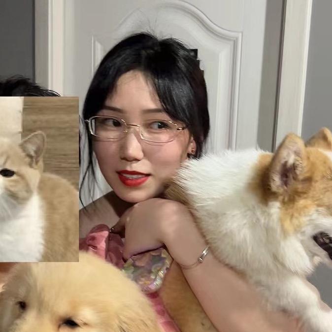 美丽大野猪🐗
