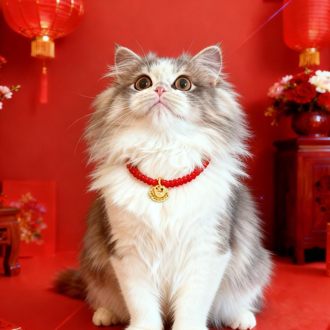 图图萌宠圈