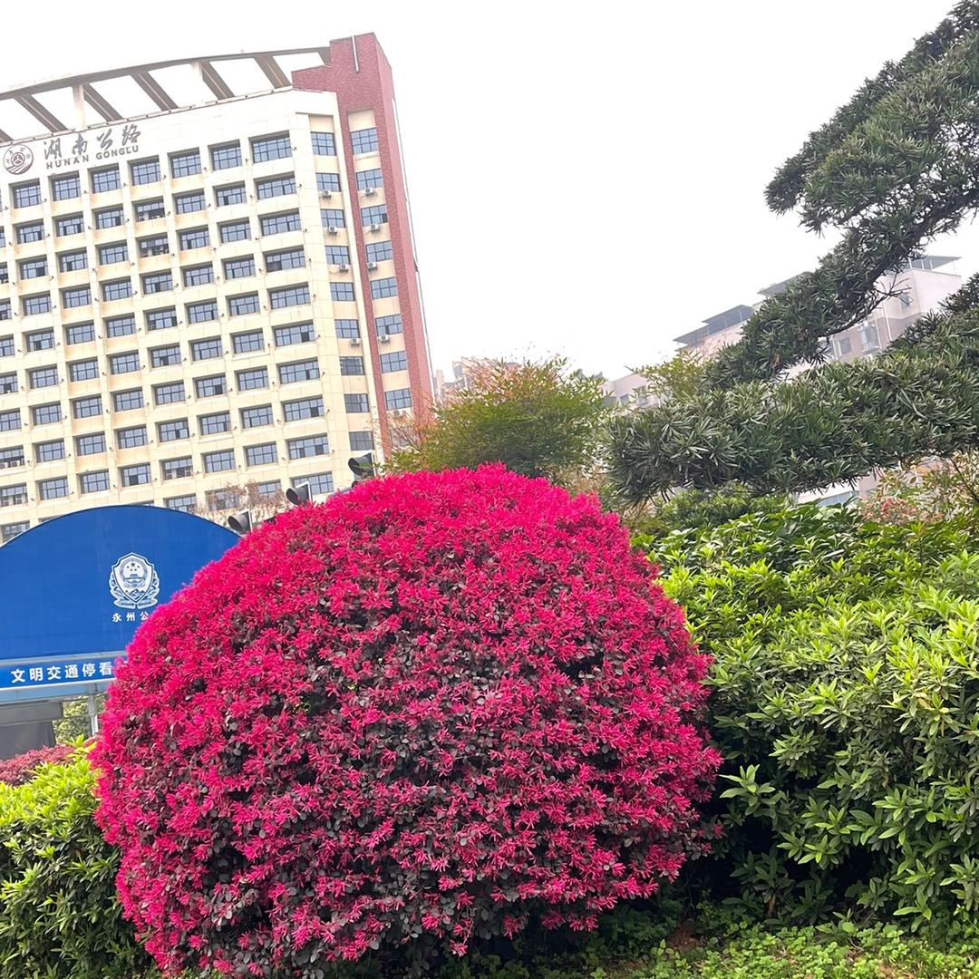 🌈无极哥
