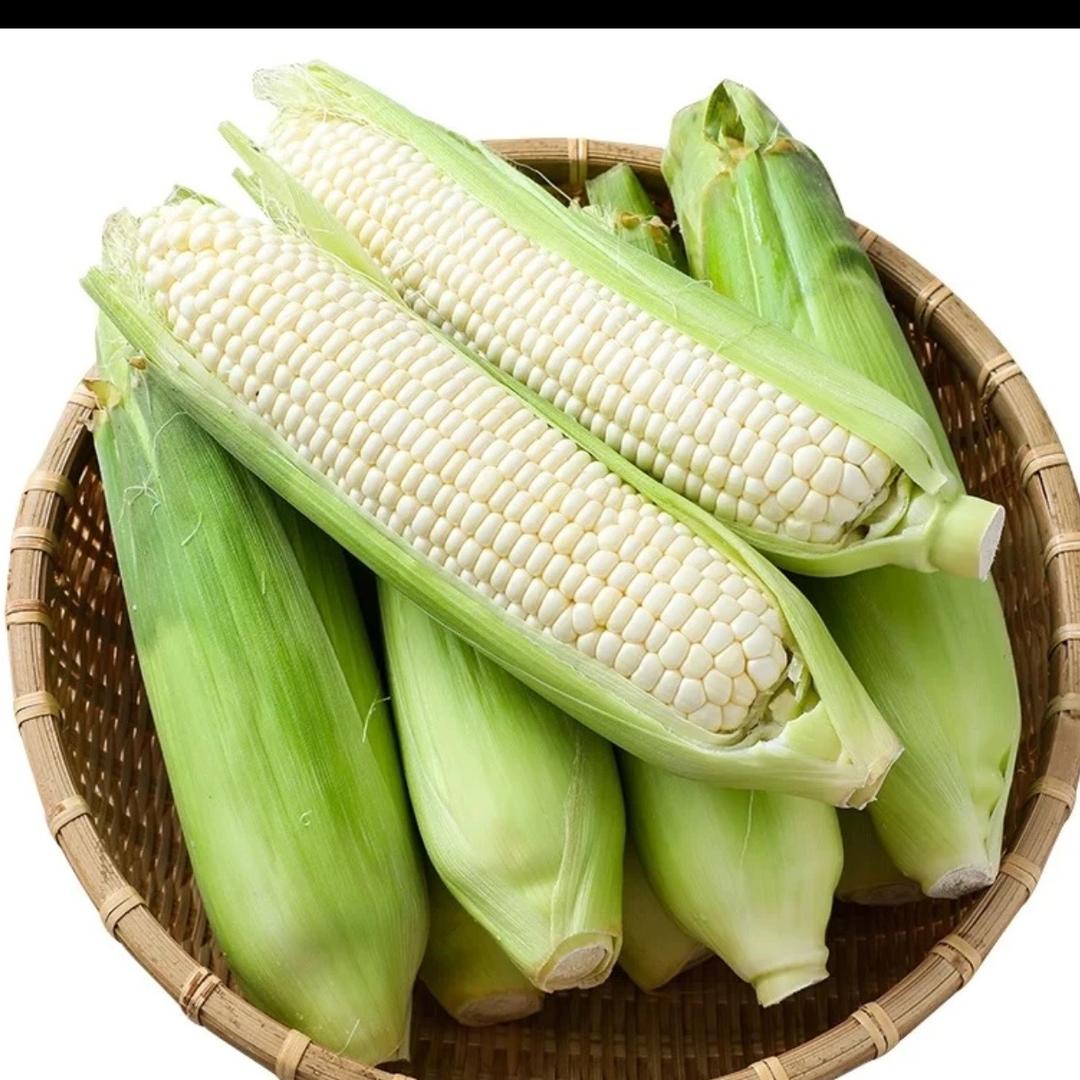 东红生鲜