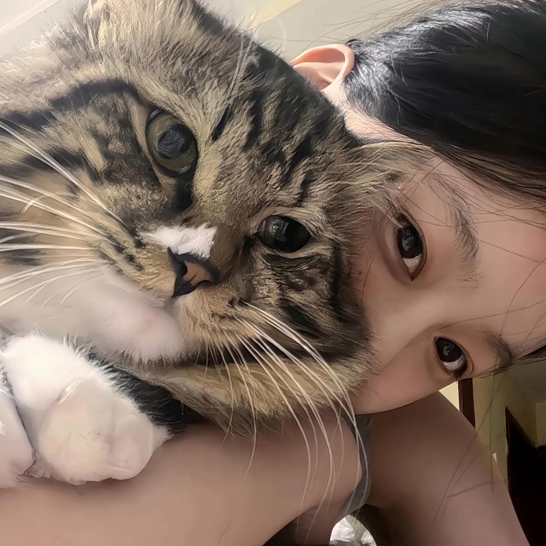 珊茶花