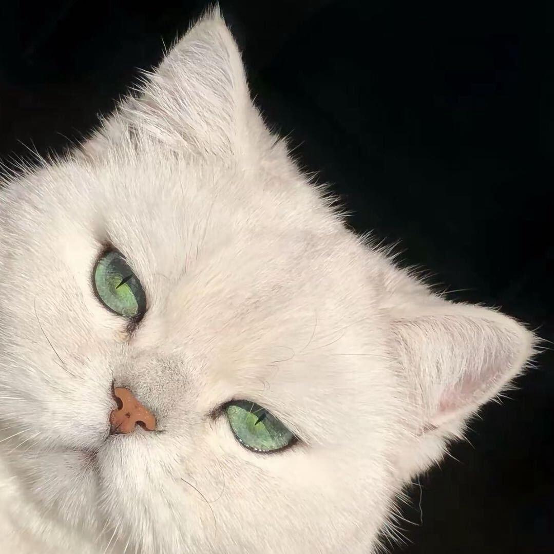 Re💎