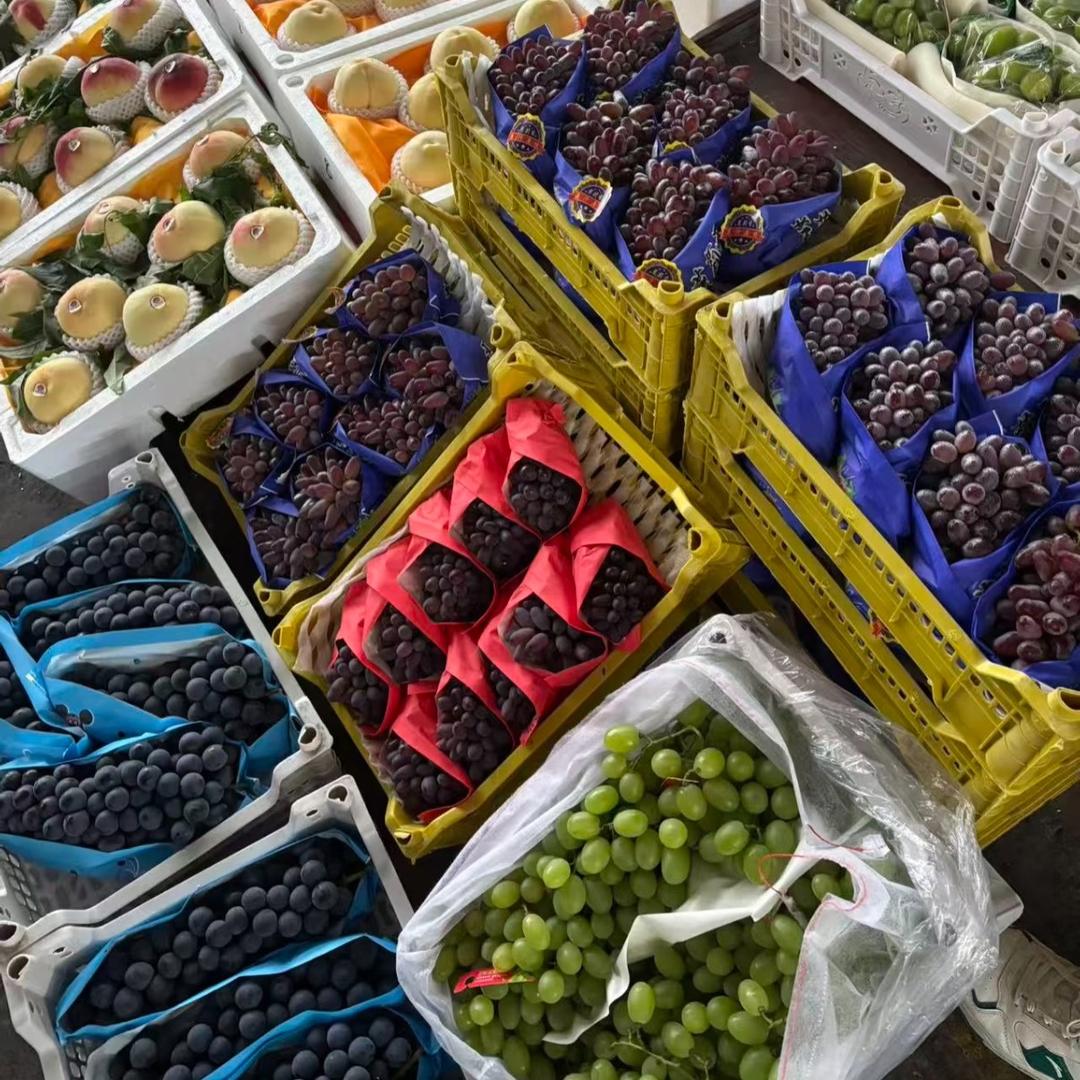 Aaa水果批发马哥