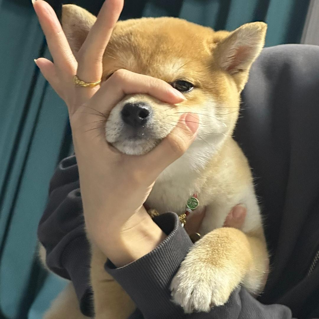 今晚去吃肯德基