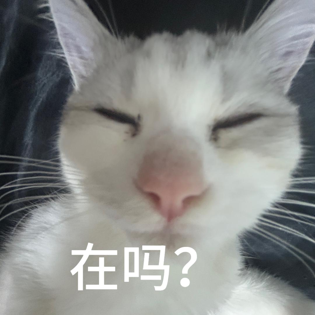 菲菲喵