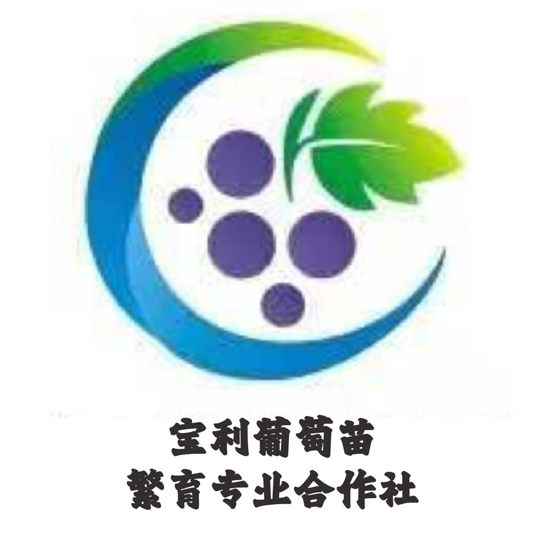宝利葡萄苗繁育合作社