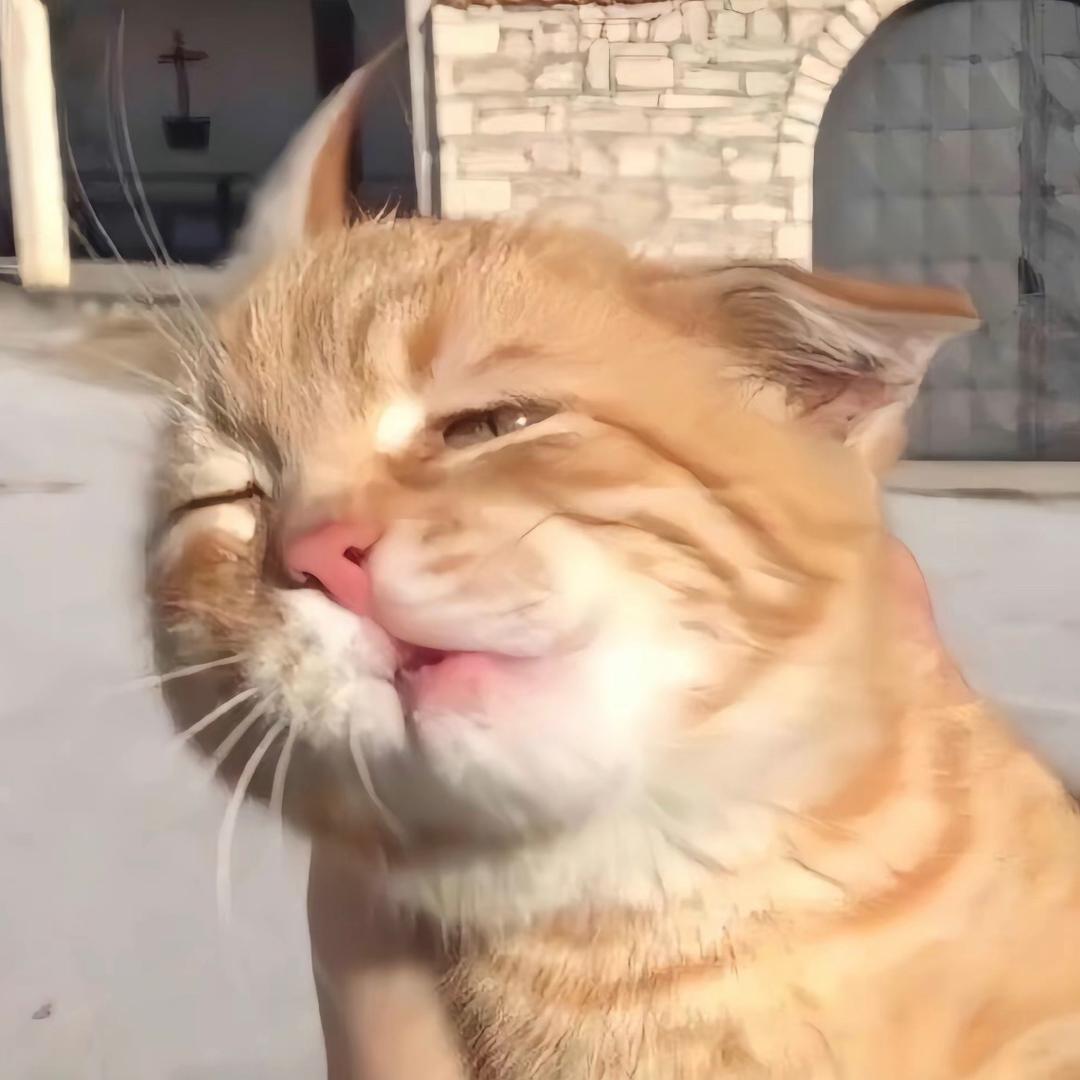 我要做掌柜