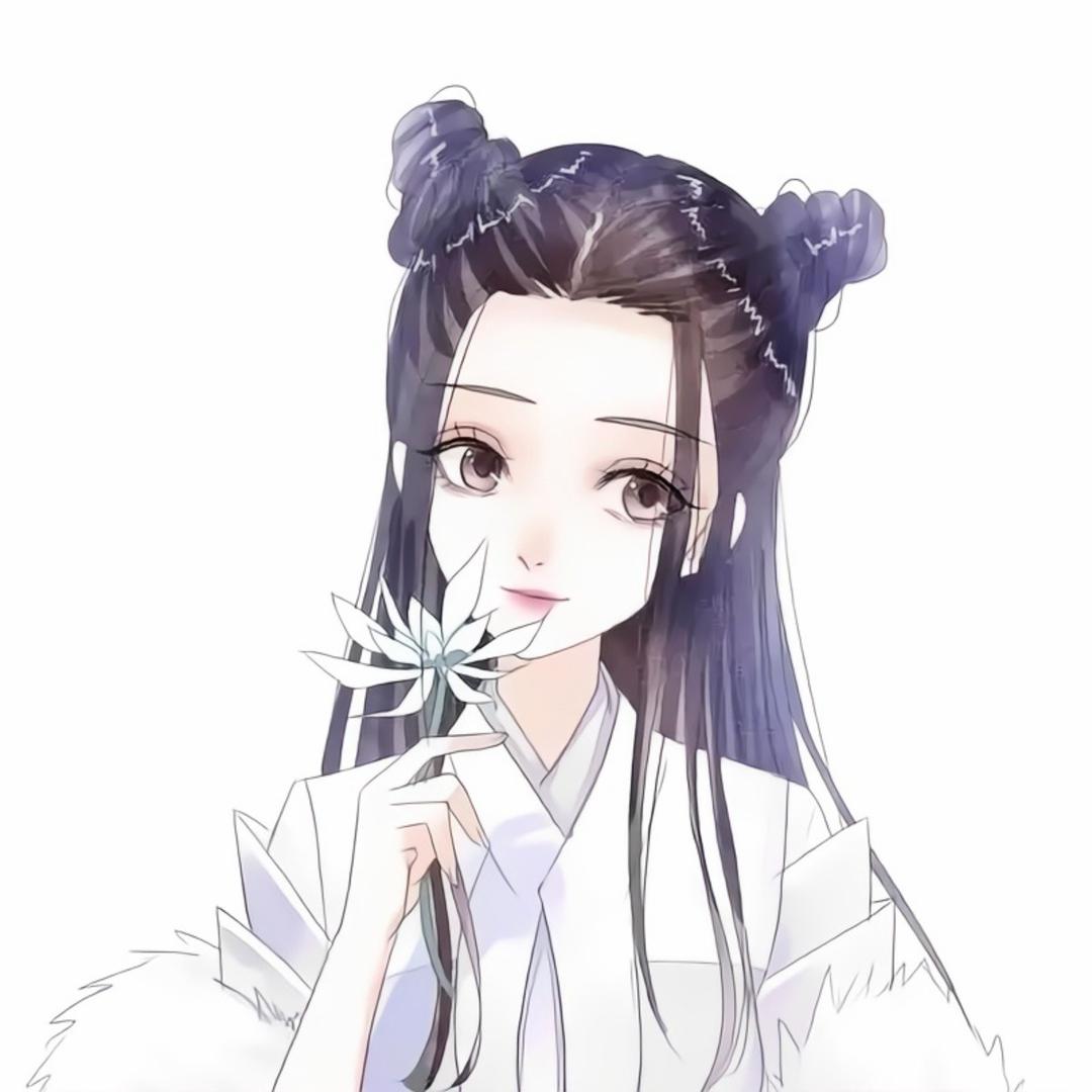 Anna家进口荷兰猪