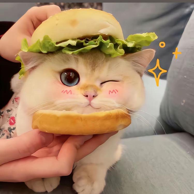 １⒍薅羊毛保洁阿姨