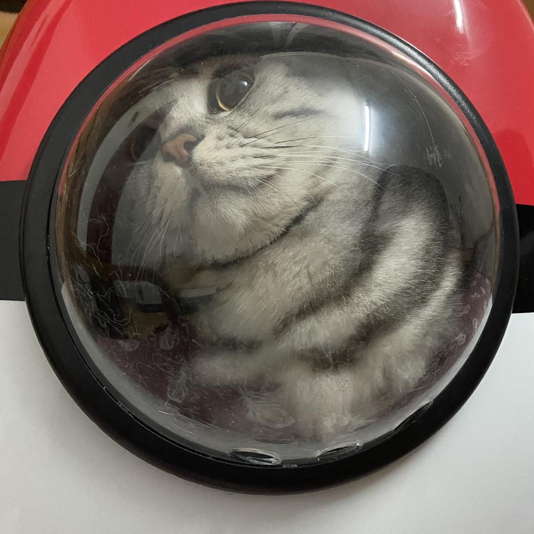 嘟嘟嘟嘟嘟