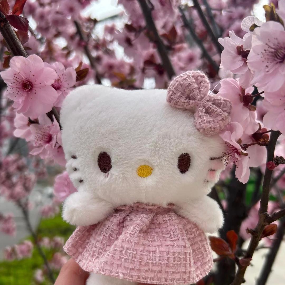 熊熊Studio🧸