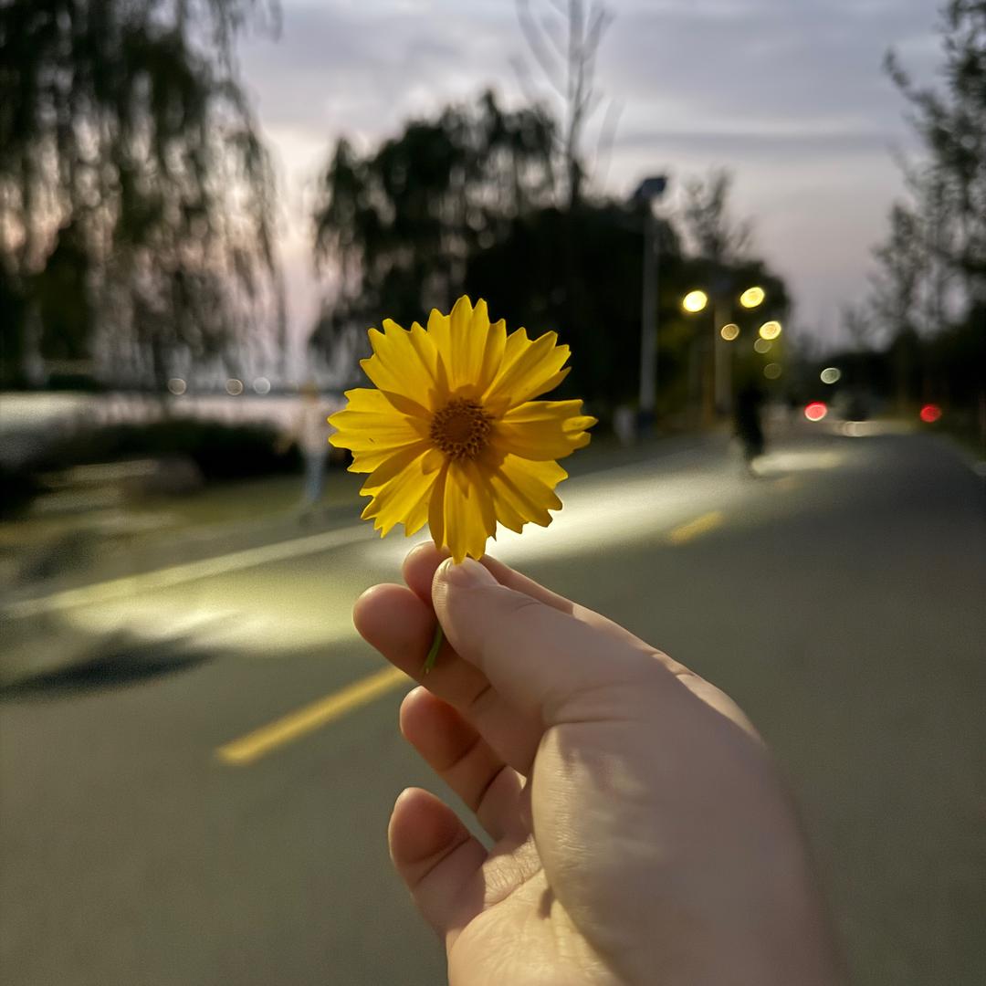 珊珊½