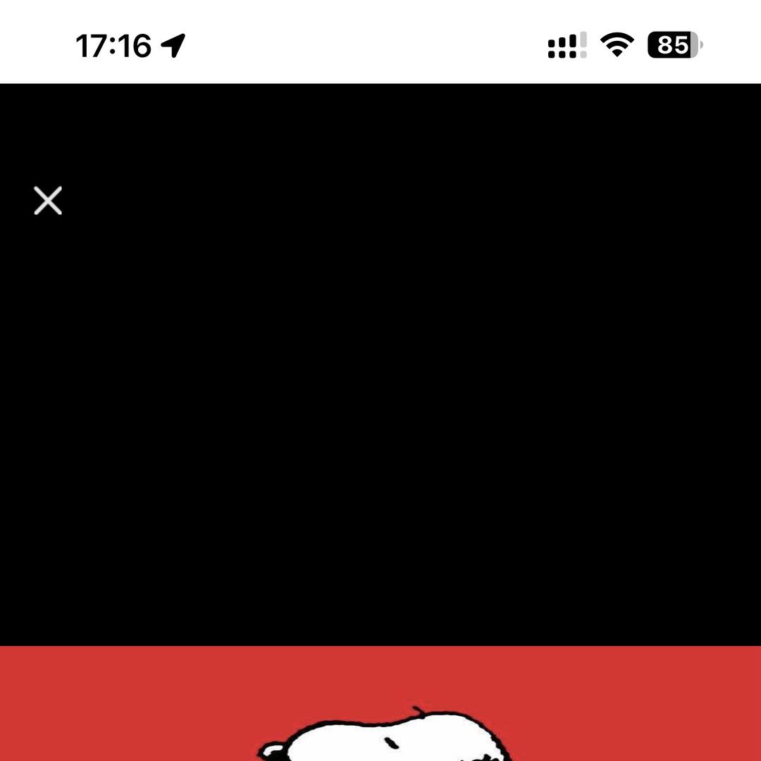 史努比中稳儿童服饰专卖店