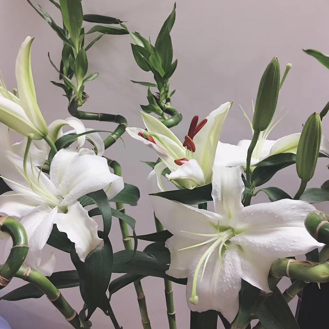 别拿恋爱当饭吃