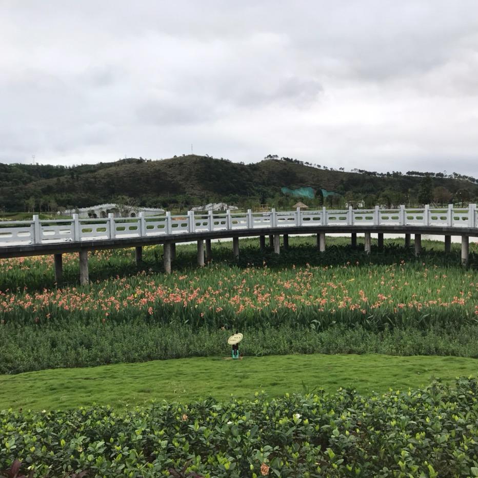 雁过留声