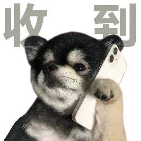 田园犬