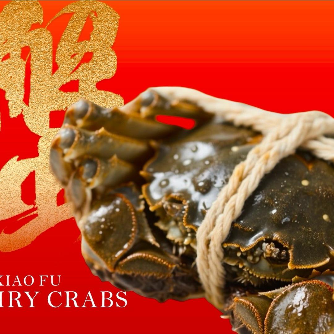 阜阳精品大闸蟹-俊