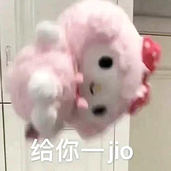 崽崽ovo