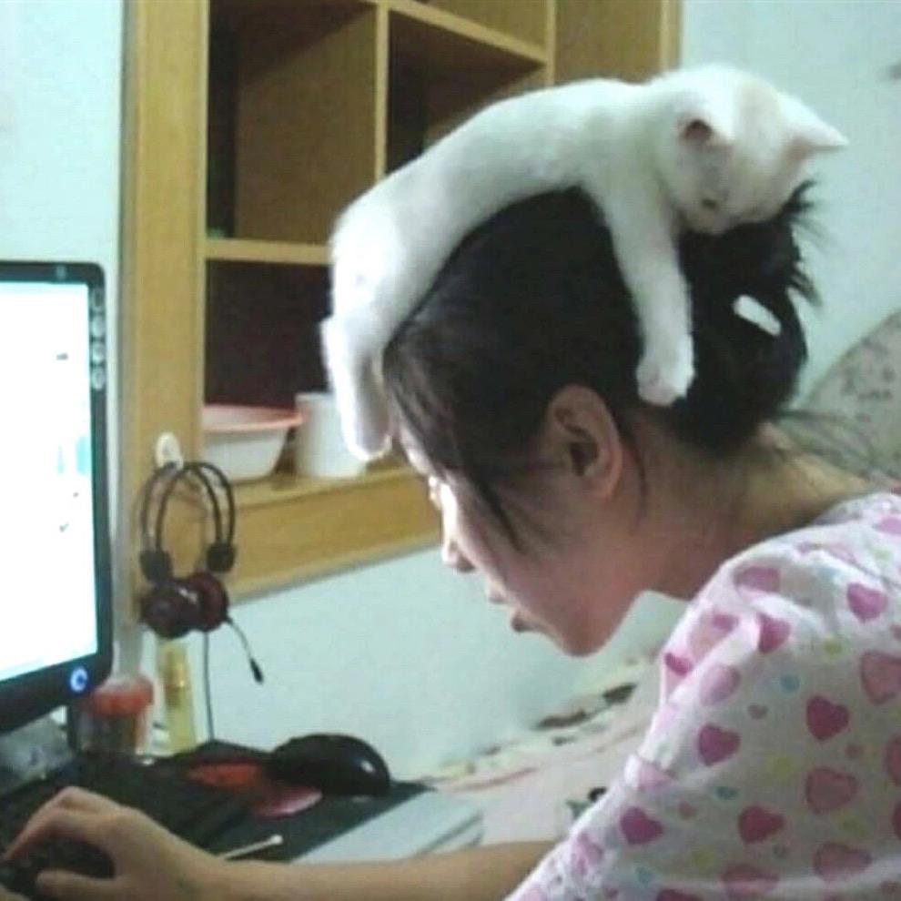 让我再睡会。。