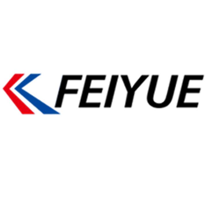 feiyue飞跃男鞋旗舰店