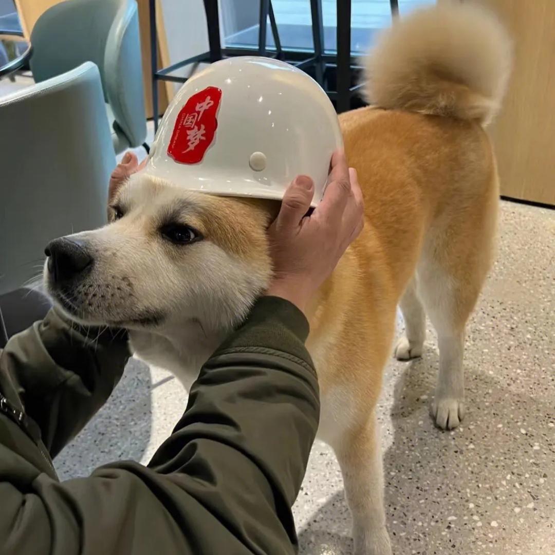 孤独的小卖铺
