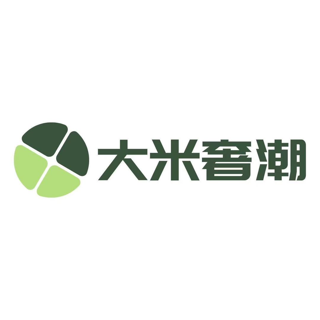 大米奢潮女鞋优选