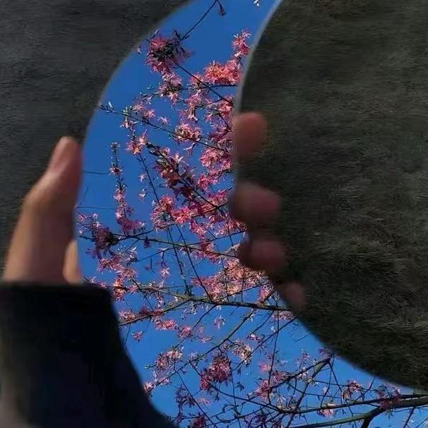 (✺ω✺)迁就