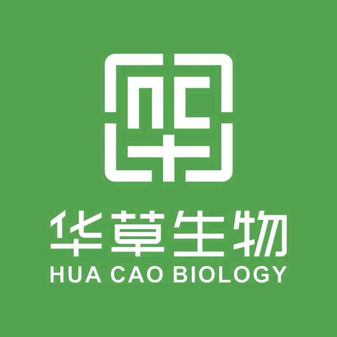 京伦官方旗舰店美美