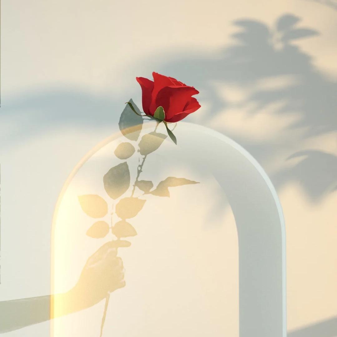 包包酱BBJ_（工厂专注于外贸）