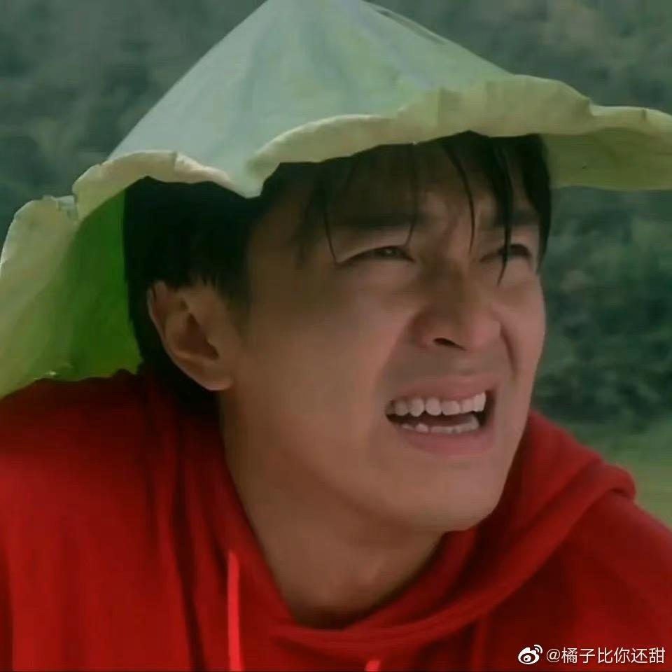 哈瓜h